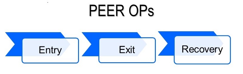 Peer OPs graph: Entry > Exit > Recovery